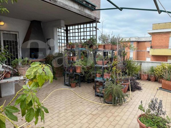 appartamento in vendita a Nettuno