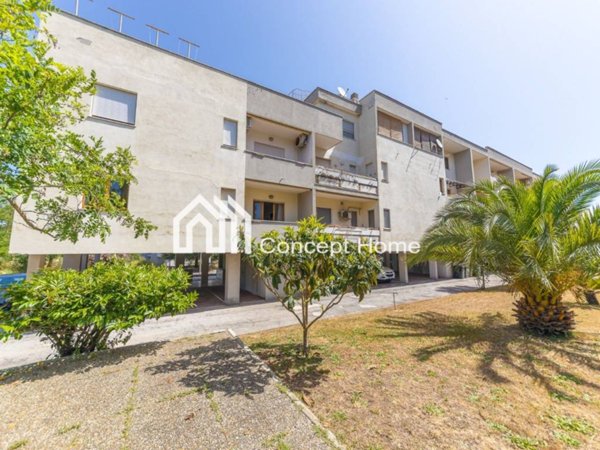 appartamento in vendita a Nettuno