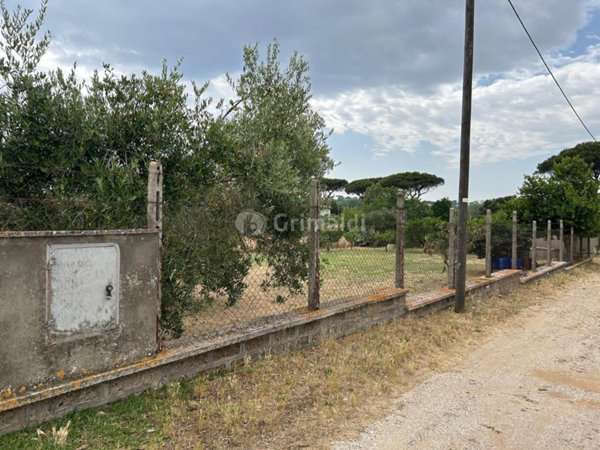 terreno agricolo in vendita a Nettuno