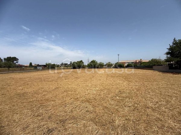 terreno agricolo in vendita a Nettuno