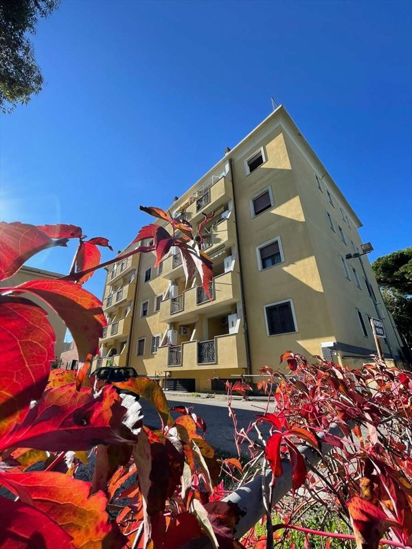 appartamento in vendita a Nettuno