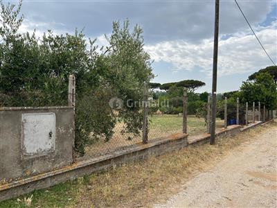 terreno edificabile in vendita a Nettuno