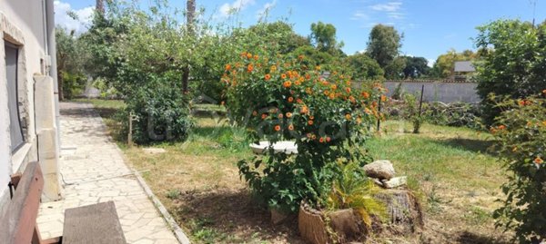 appartamento in vendita a Nettuno