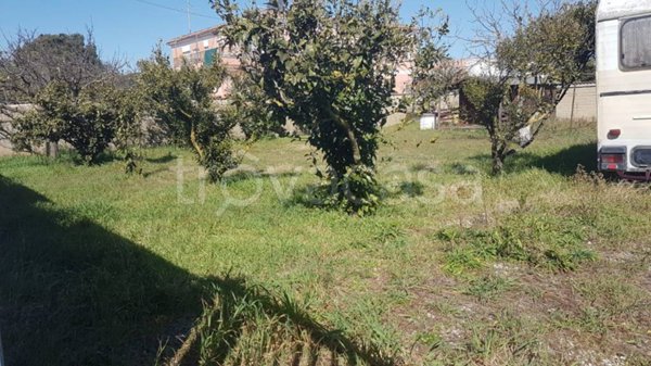 terreno agricolo in vendita a Nettuno
