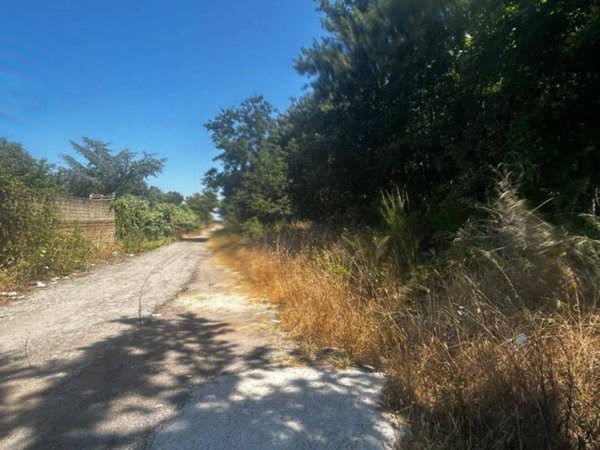 terreno agricolo in vendita a Nettuno in zona Padiglione