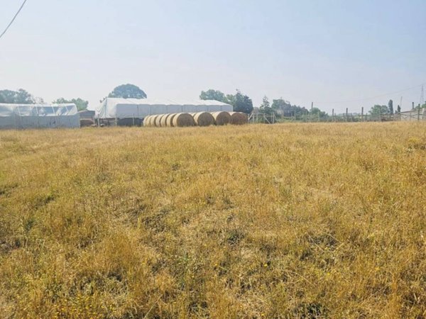 terreno agricolo in vendita a Nettuno