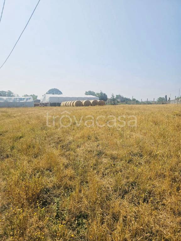 terreno agricolo in vendita a Nettuno