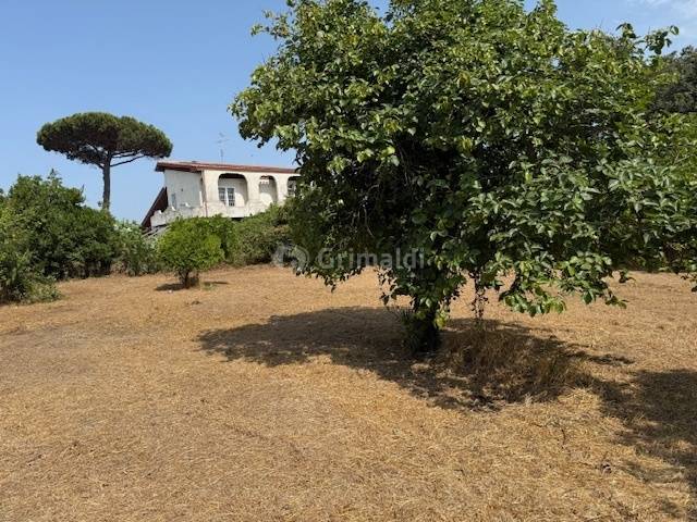 appartamento in vendita a Nettuno