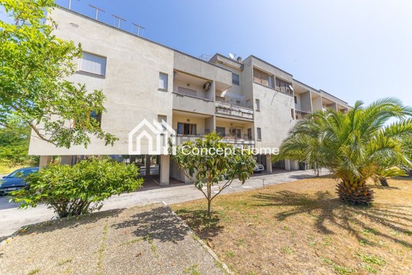 appartamento in vendita a Nettuno