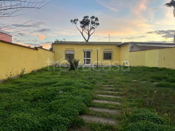 appartamento in vendita a Nettuno in zona Padiglione