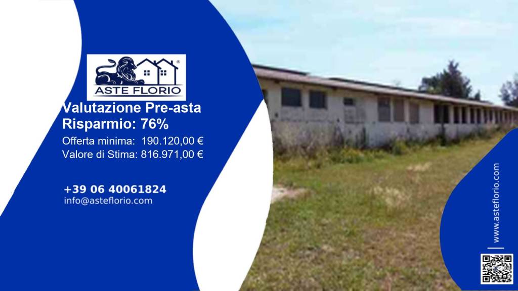 azienda agricola in vendita a Nettuno