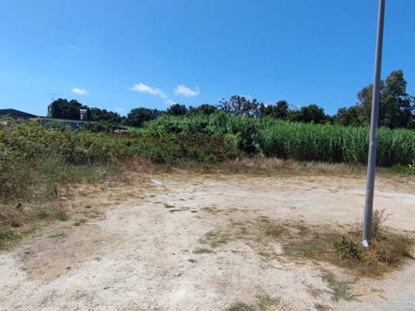 terreno agricolo in vendita a Nettuno