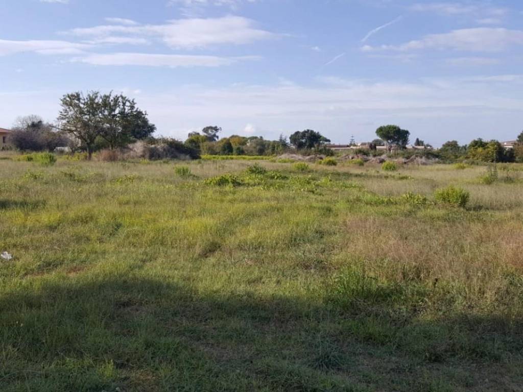 terreno agricolo in vendita a Nettuno