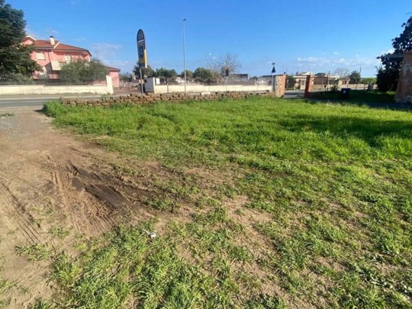 terreno agricolo in vendita a Nettuno