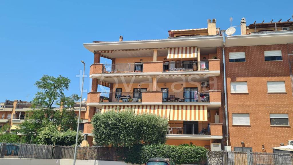 appartamento in vendita a Nettuno