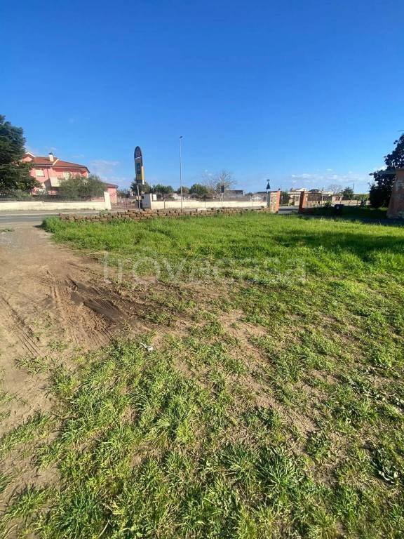 terreno agricolo in vendita a Nettuno