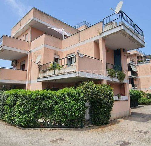 appartamento in vendita a Nettuno