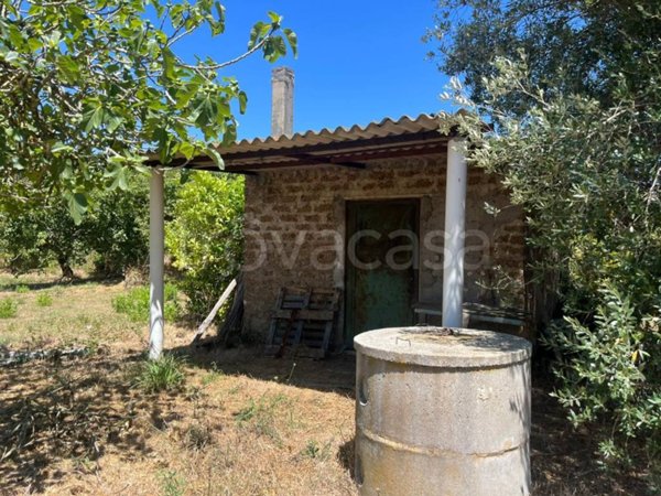 terreno agricolo in vendita a Nettuno