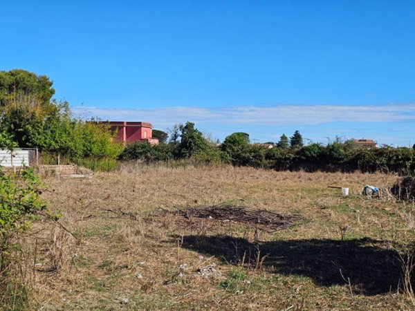 terreno agricolo in vendita a Nettuno