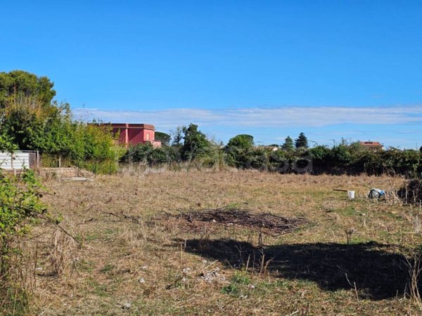 terreno agricolo in vendita a Nettuno