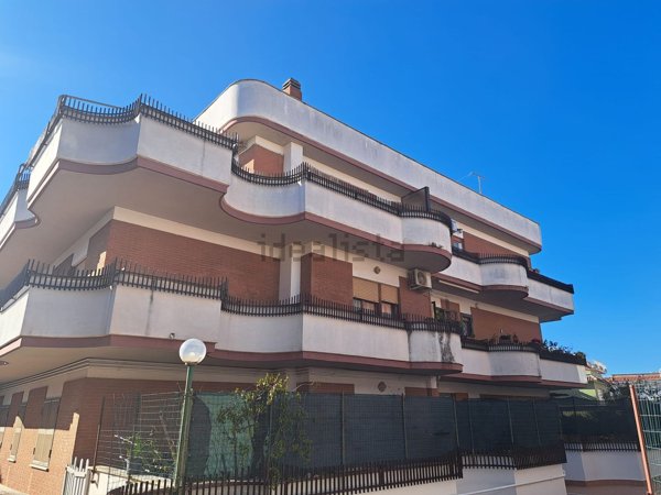 appartamento in vendita a Nettuno