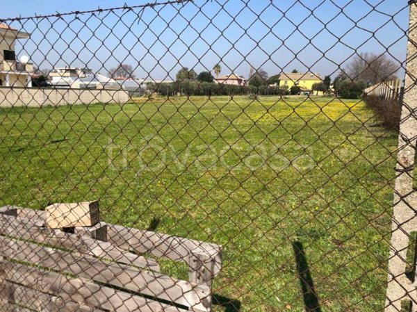 terreno agricolo in vendita a Nettuno