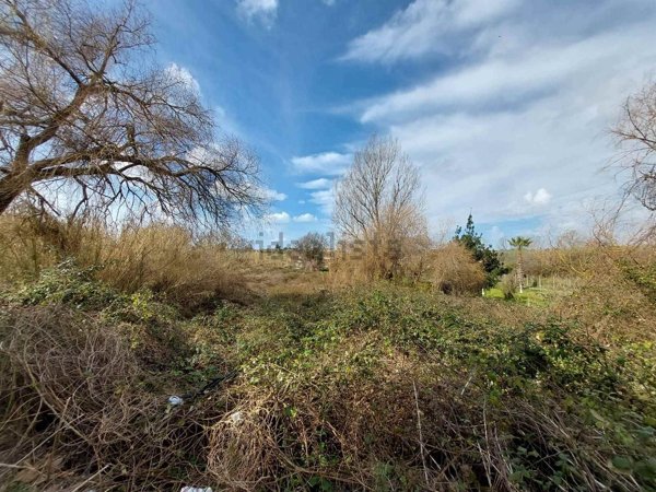 terreno agricolo in vendita a Nettuno