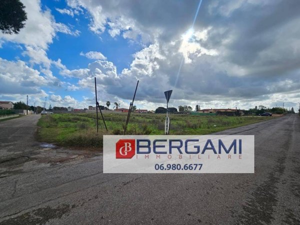 terreno agricolo in vendita a Nettuno