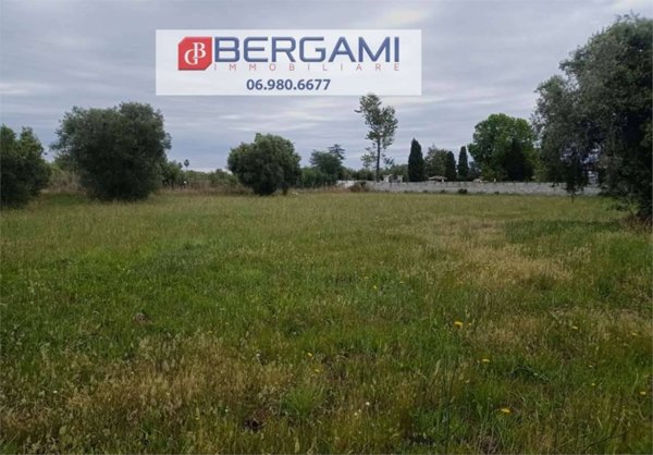 terreno agricolo in vendita a Nettuno