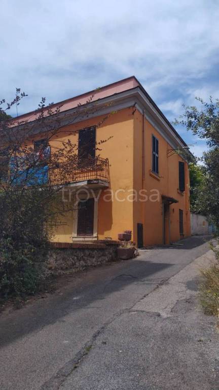appartamento in vendita a Nettuno