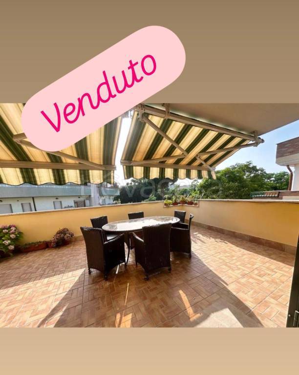 appartamento in vendita a Nettuno