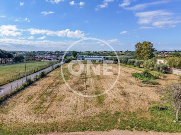 terreno agricolo in vendita a Nettuno