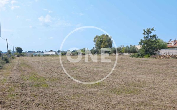terreno agricolo in vendita a Nettuno