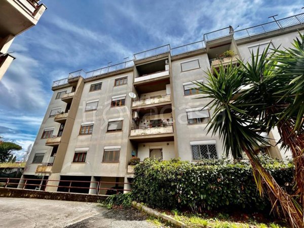 appartamento in vendita a Nettuno