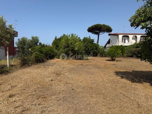 terreno agricolo in vendita a Nettuno