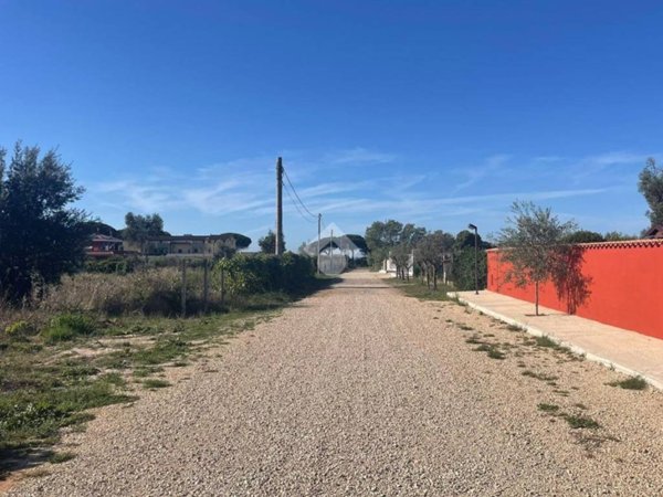terreno agricolo in vendita a Nettuno
