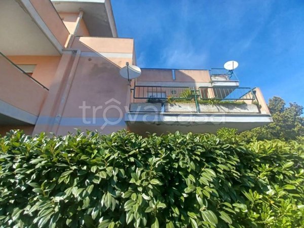 appartamento in vendita a Nettuno