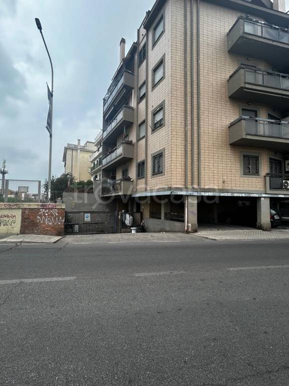 negozio in vendita a Nettuno