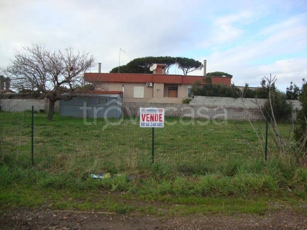 terreno agricolo in vendita a Nettuno