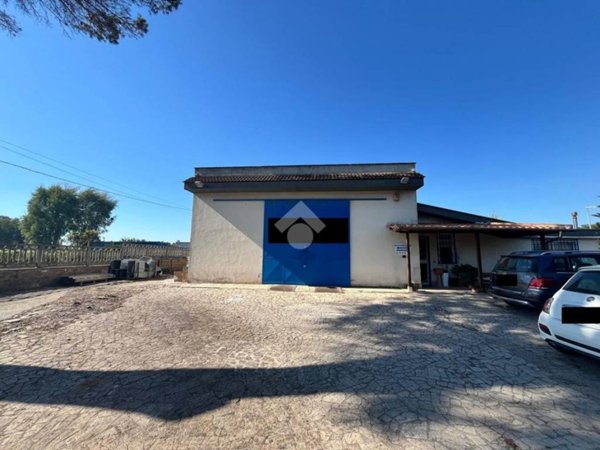 locale commerciale in vendita a Nettuno