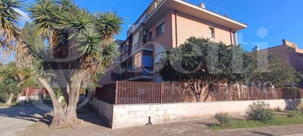 appartamento in vendita a Nettuno