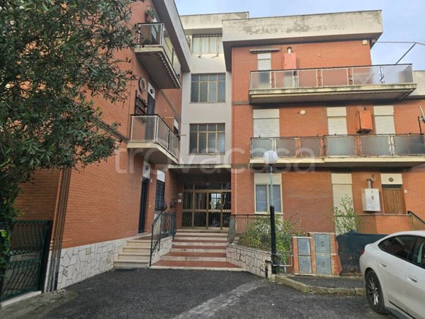 appartamento in vendita a Nettuno