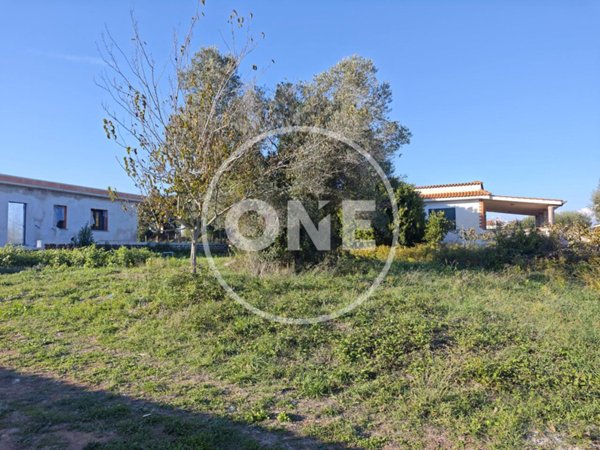 terreno agricolo in vendita a Nettuno