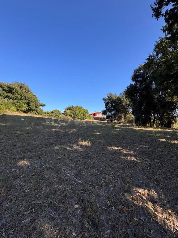 terreno agricolo in vendita a Nettuno