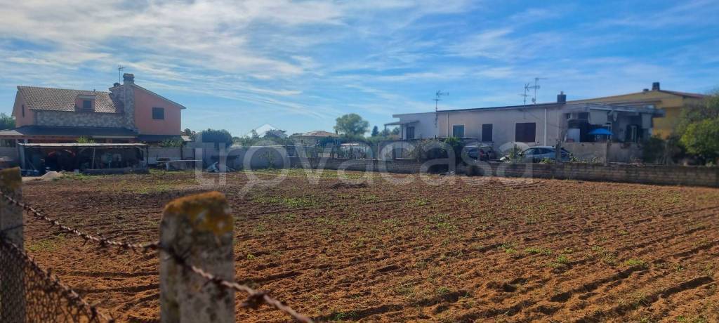 terreno agricolo in vendita a Nettuno