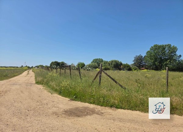 terreno agricolo in vendita a Nettuno