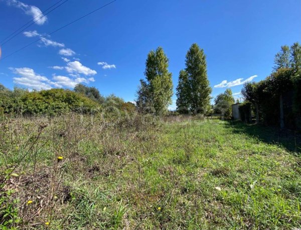 terreno agricolo in vendita a Nettuno