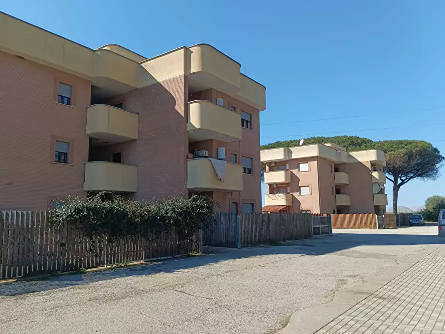 appartamento in vendita a Nettuno