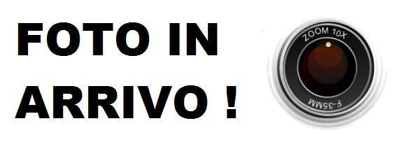 terreno agricolo in vendita a Nettuno