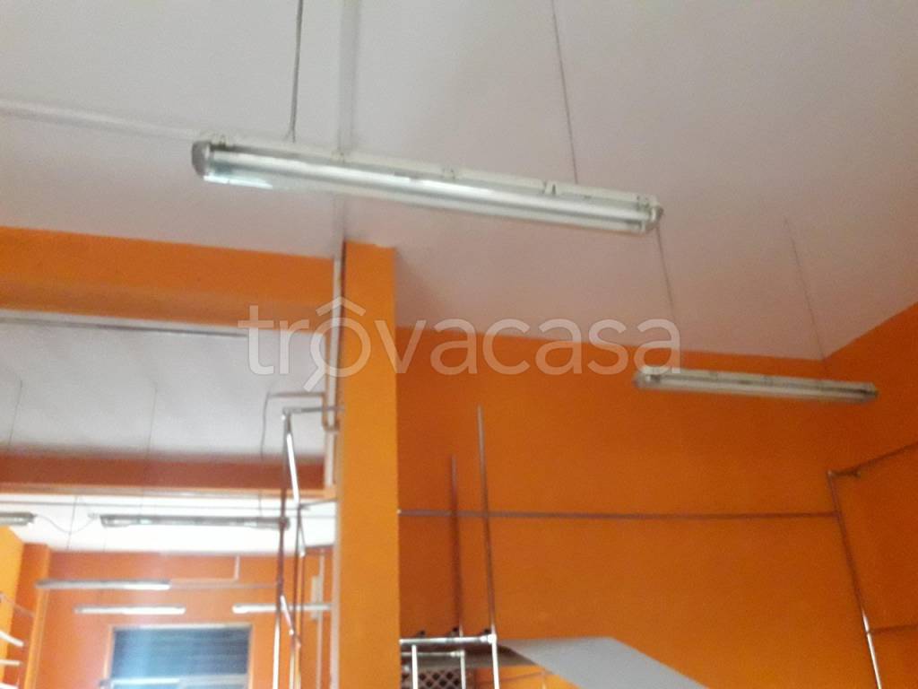 immagine annuncio 0 di 12